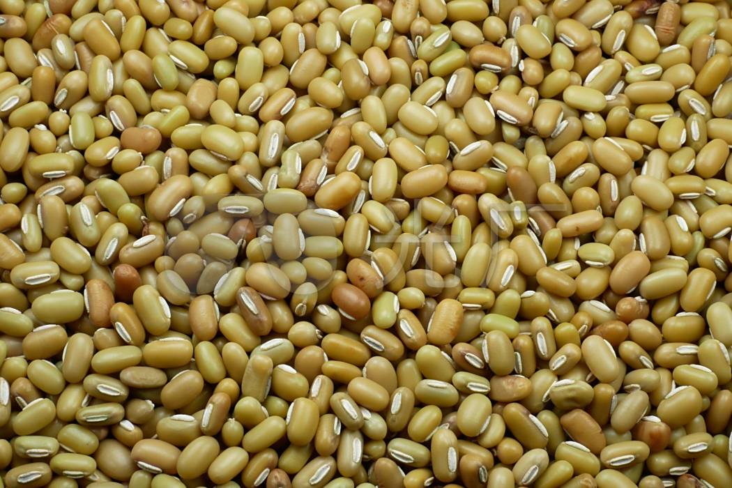 山飯豆