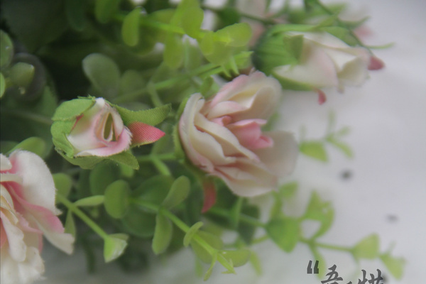 蛤蟆吐蜜 蛤蟆吐蜜