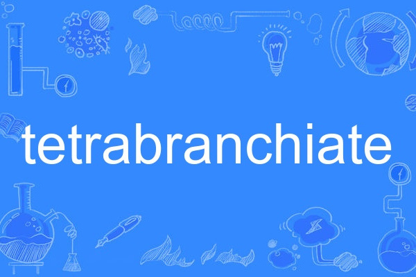 tetrabranchiate tetrabranchiate