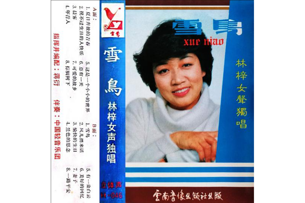 妻子(林梓演唱的歌曲) 妻子(林梓演唱的歌曲)