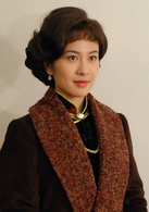 古城往事(2009年夏鋼執導電視劇)