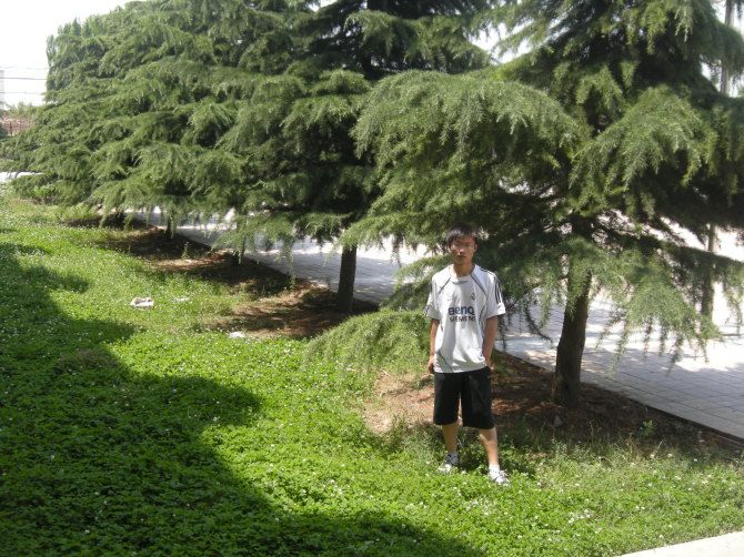 劉朝沖 劉朝沖