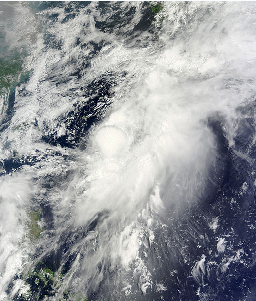熱帶風暴米娜 衛星雲圖