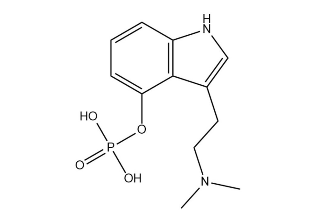 賽洛西賓(裸頭草鹼) 賽洛西賓(裸頭草鹼)