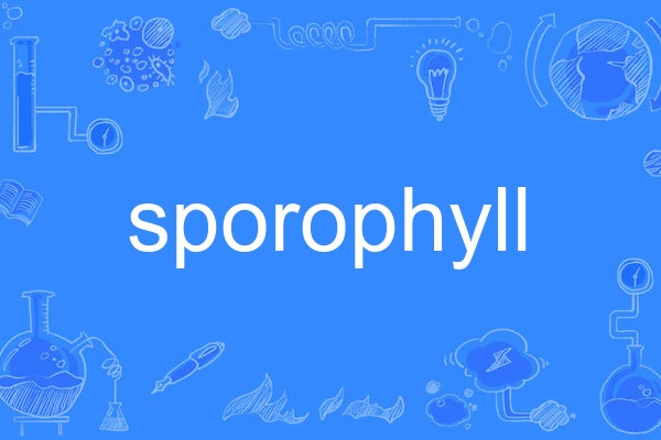 sporophyll sporophyll