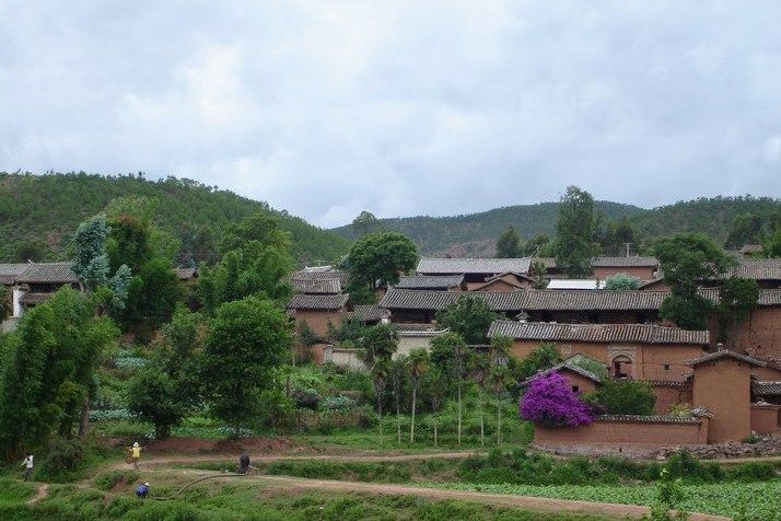 羅只村 羅只村