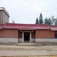 三林村(福建南安市洪瀨鎮下轄村)