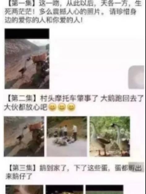 別離親吻 別離親吻