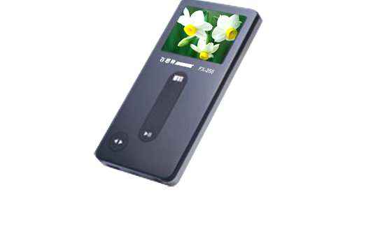 百思特FX-255FM(2GB)