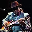 Original Folk Blues