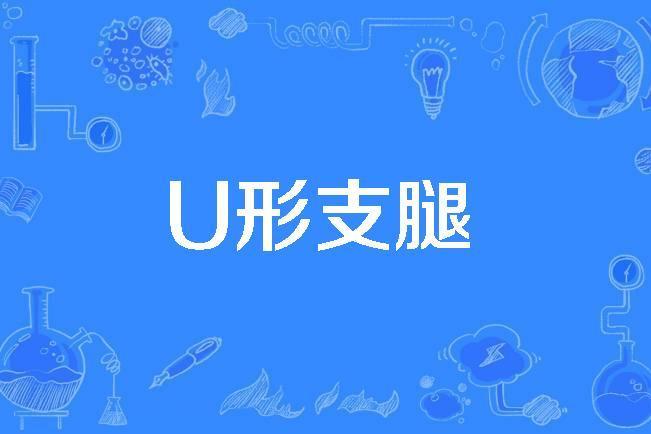 U形支腿 U形支腿