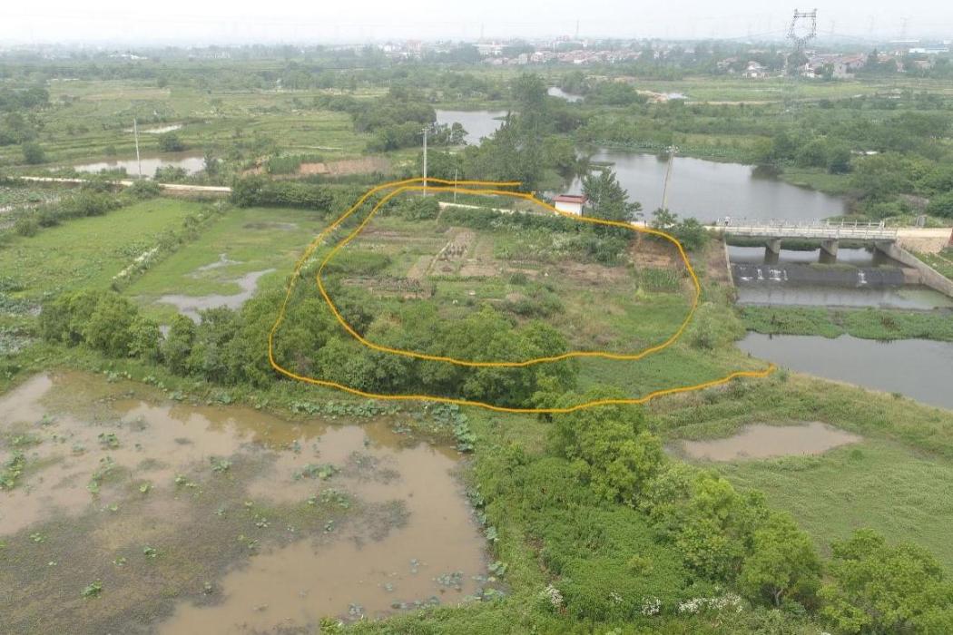 廟墩遺址(武漢市新洲區倉埠街文化遺址) 廟墩遺址(武漢市新洲區倉埠街文化遺址)