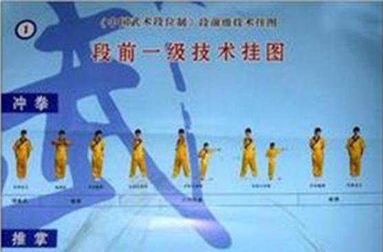 中國武術段位制：段前級技術掛圖