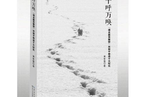 千呼萬喚(2015年長江文藝出版社出版的圖書) 千呼萬喚(2015年長江文藝出版社出版的圖書)