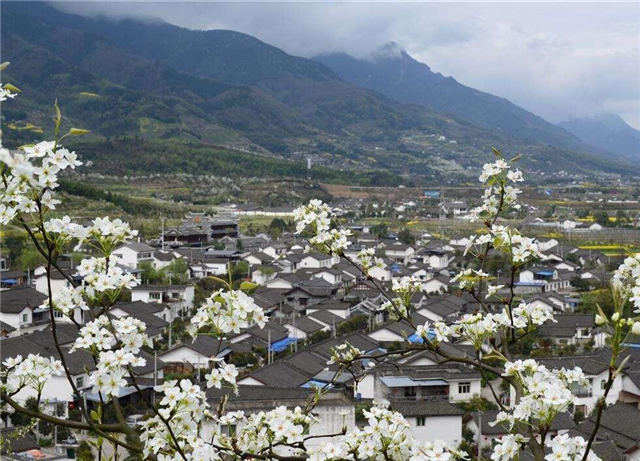 梨樹村(延邊州延吉市三道灣鎮梨樹村) 梨樹村(延邊州延吉市三道灣鎮梨樹村)