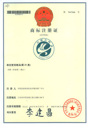 圖4 興國灰鵝地理註冊商標