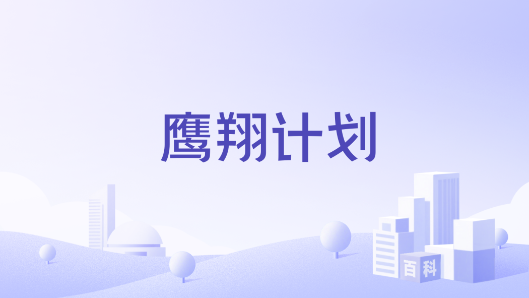 鷹翔計畫 鷹翔計畫