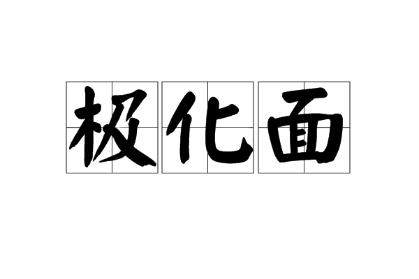 極化面 極化面