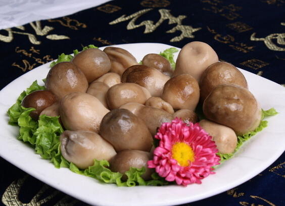 南華草菇