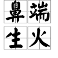 鼻端生火