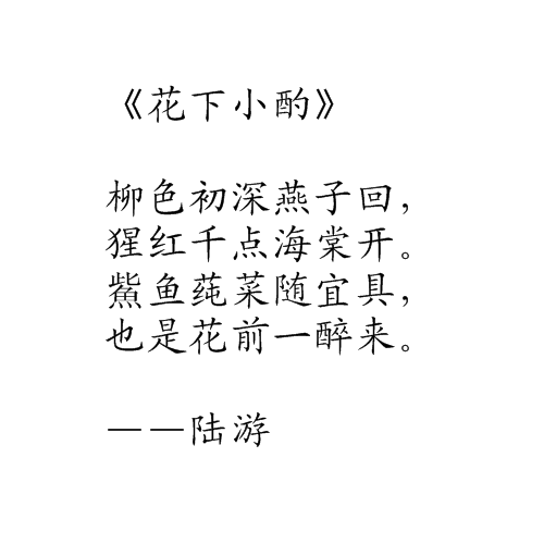 花下小酌 花下小酌