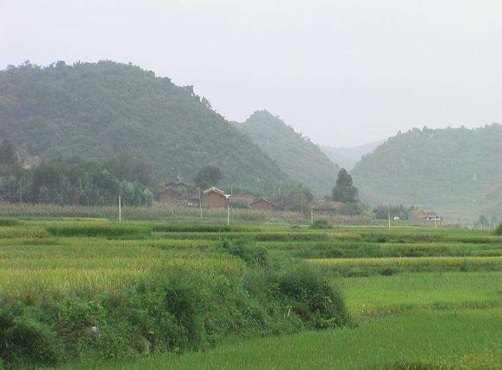 夸溪八播村 夸溪八播村