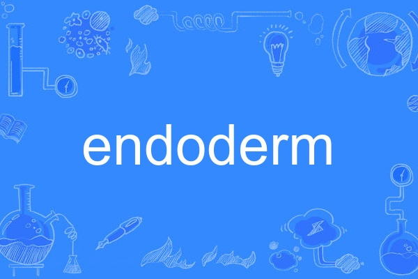 endoderm endoderm