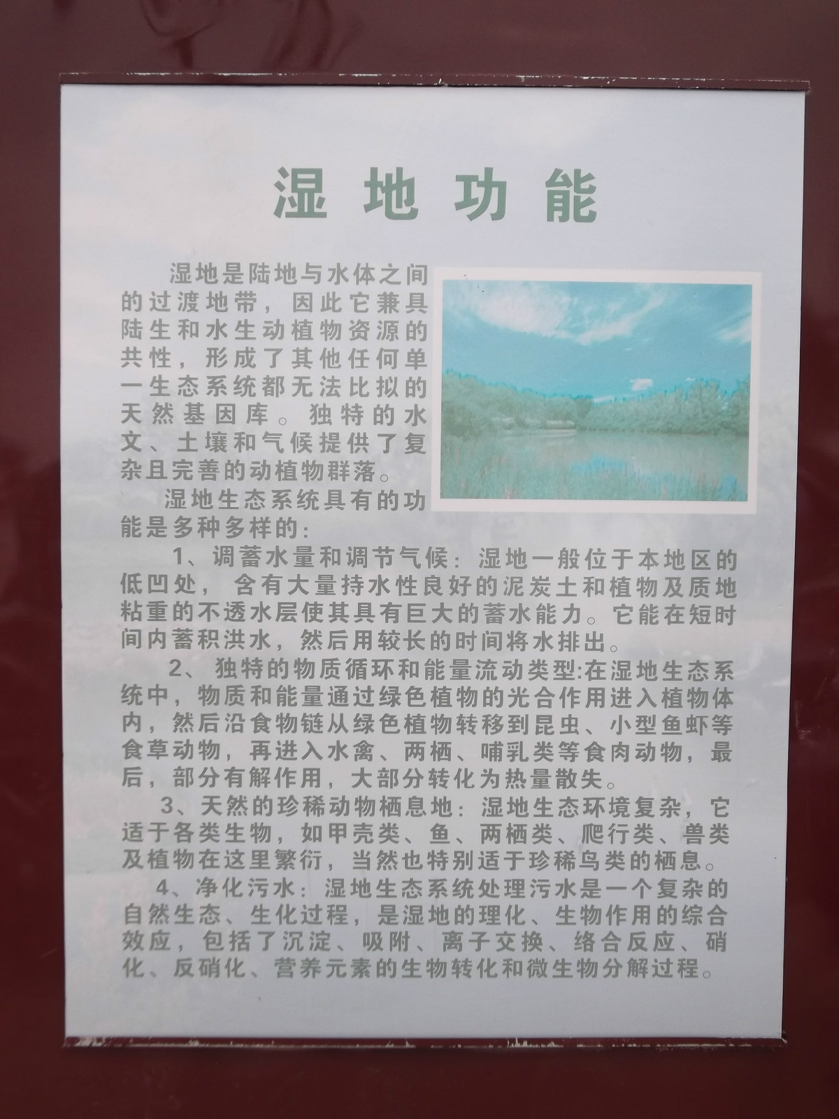 濮陽金堤河國家濕地公園