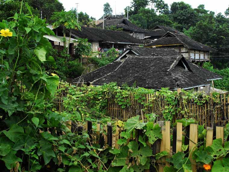 巴亞新寨村 巴亞新寨村