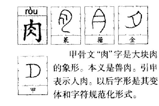 肉文