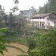 下小田村 下小田村