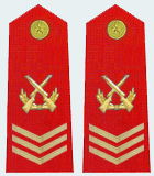 武警二級軍士長軍銜肩章(2009—)
