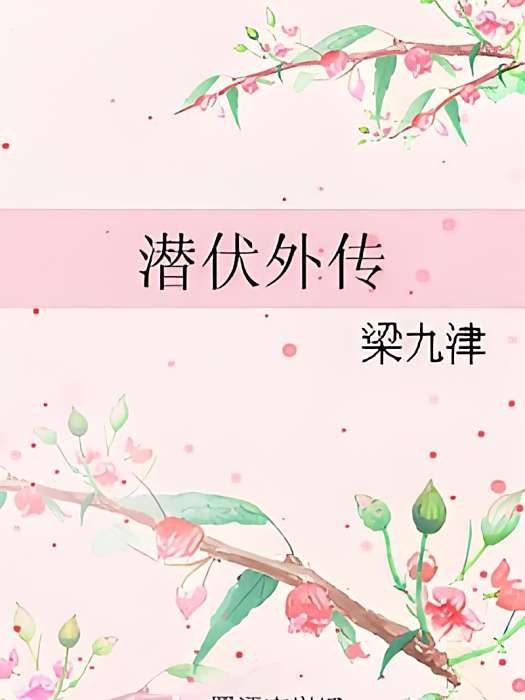 潛伏外傳 潛伏外傳