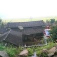 少陽保村 少陽保村