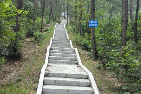 郭家河村(湖北省黃岡市羅田縣駱駝坳鎮郭家河村) 郭家河村(湖北省黃岡市羅田縣駱駝坳鎮郭家河村)