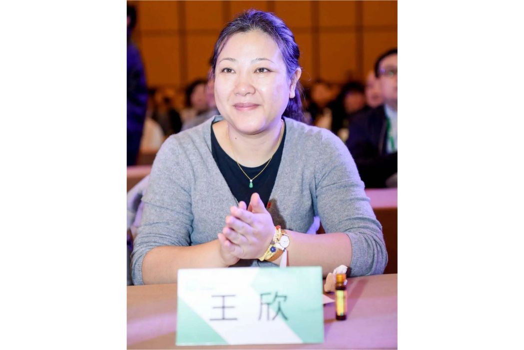 王欣(凱德投資(中國)首席投資官) 王欣(凱德投資(中國)首席投資官)