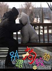 金豐(中國內地影視女演員) 金豐(中國內地影視女演員)