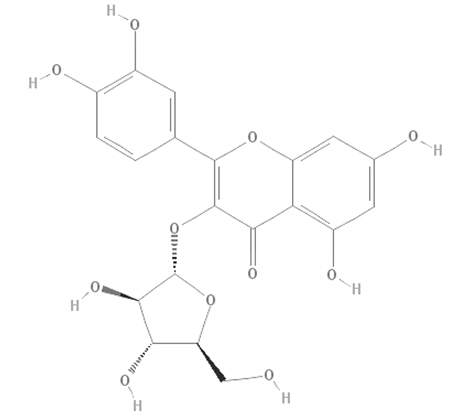黃酮苷