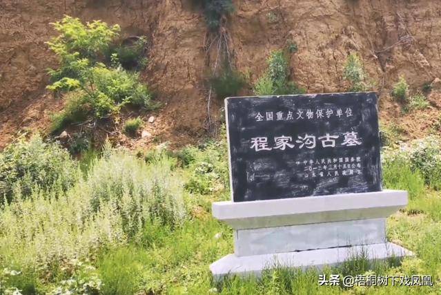 程家溝古墓 程家溝古墓