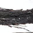 黑草(黑草) 黑草(黑草)