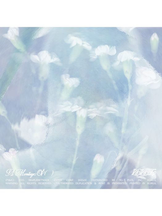 Hipnotic(2025年黃恩妃演唱的歌曲) Hipnotic(2025年黃恩妃演唱的歌曲)