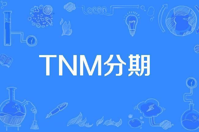 TNM分期 TNM分期