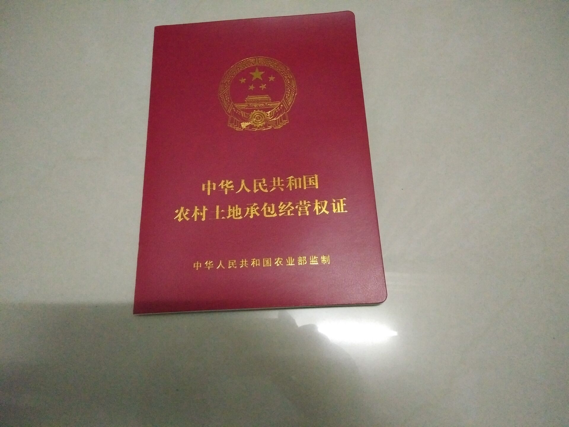 中華人民共和國農村土地承包經營權證