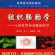 組織胚胎學(組織胚胎學胡捍衛版)