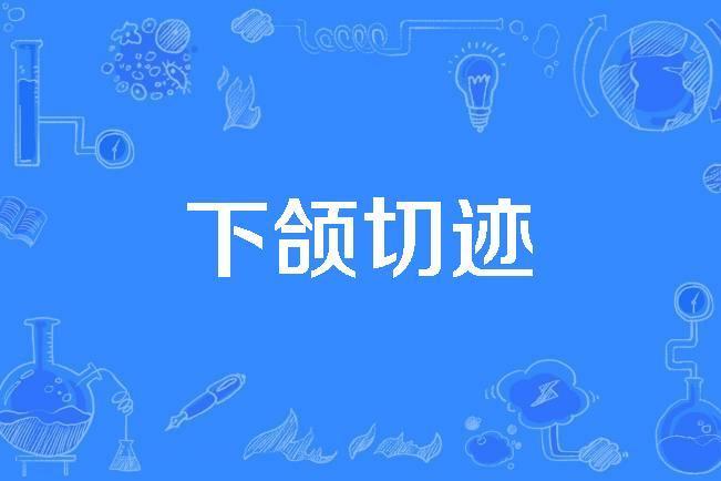 下頜切跡 下頜切跡