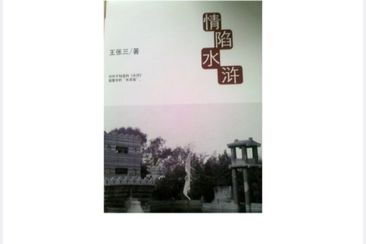 情陷水滸 情陷水滸