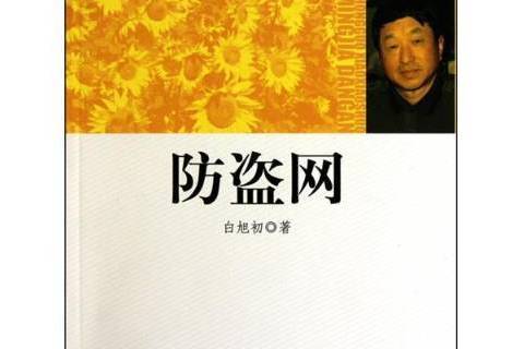 防盜網(2010年光明日報出版社出版的圖書) 防盜網(2010年光明日報出版社出版的圖書)