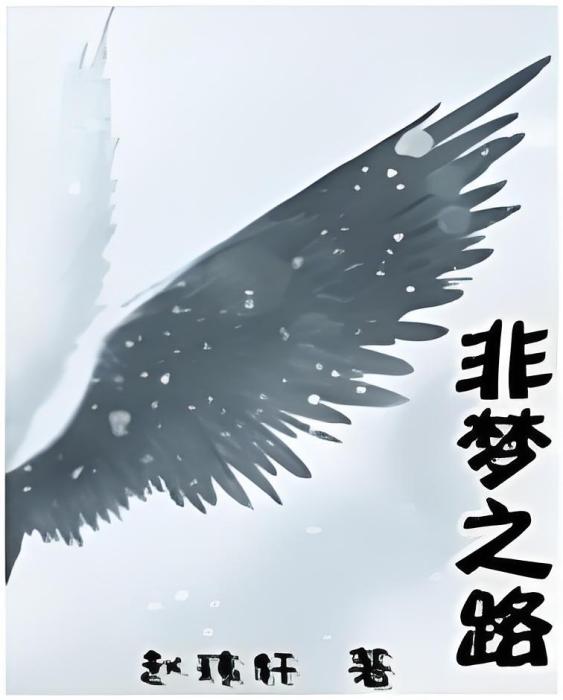 非夢之路 非夢之路