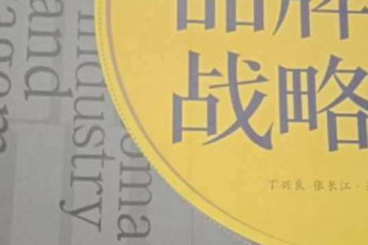 品牌戰略(2008年中國輕工業出版社出版的圖書) 品牌戰略(2008年中國輕工業出版社出版的圖書)