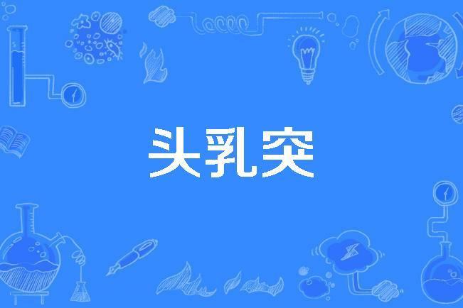 頭乳突